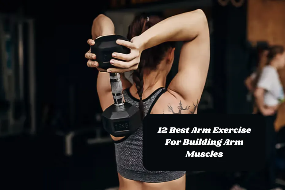 12 Best Arm Exercise For Building Arm Muscles